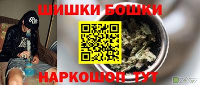 шишки Апшеронск