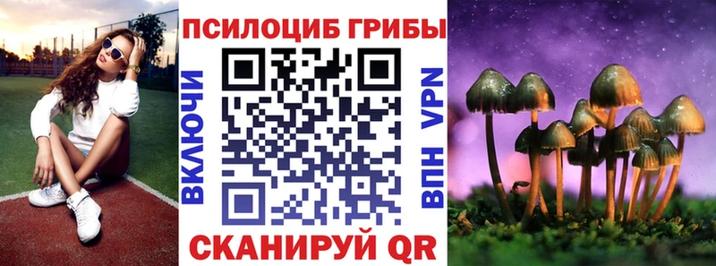 Галлюциногенные грибы Cubensis  хочу наркоту  Удомля 
