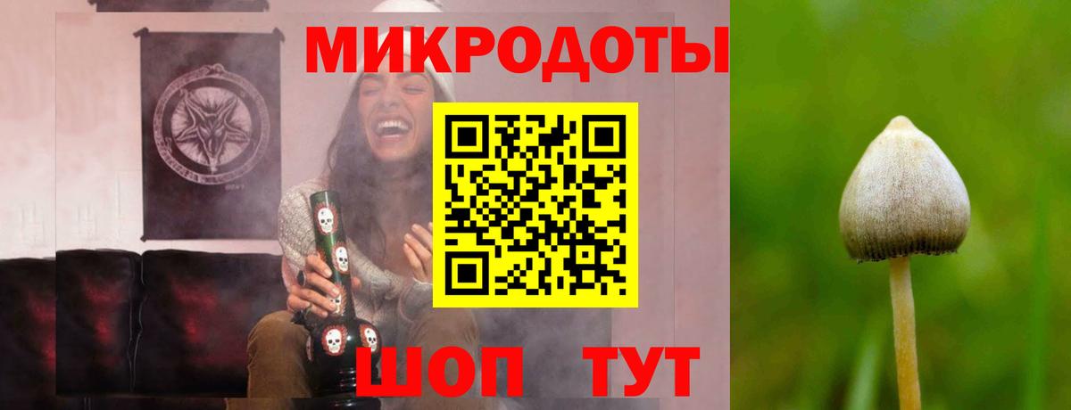 Галлюциногенные грибы мухоморы  Вход с VPN  как найти наркотики  Галлюциногенные грибы Psilocybine cubensis  Удомля 